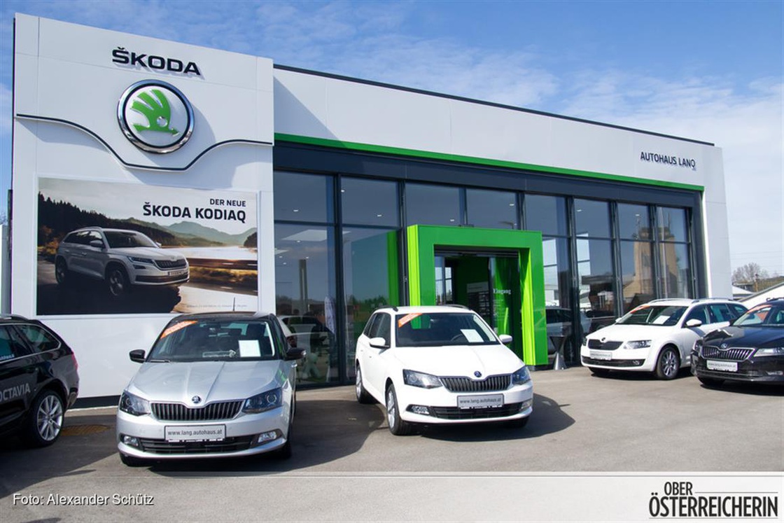 IMGP5523 (Mittel).jpg