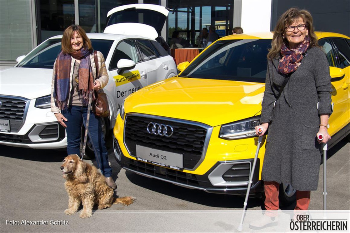 IMGP5414 (Mittel).jpg